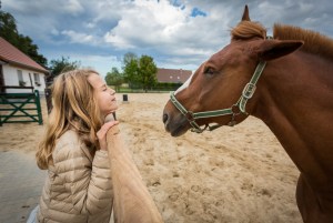 Reitunterricht Voltigieren Anfänger Longenstunde